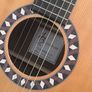 guitar harlez Benton (left handed) Image 3
