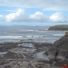dartry view