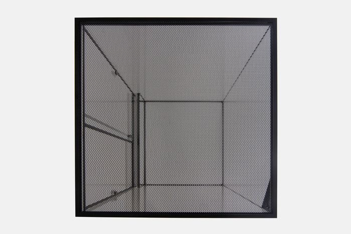 Tall Glass Terrarium With Mesh and Lock