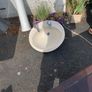 Bath Image 2