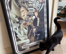 XL Star Wars poster