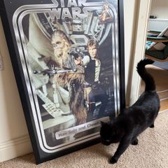 XL Star Wars poster