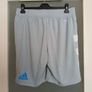 Grey Leinster Rugby performance training shorts Image 2