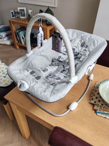 Joie Baby Bouncer