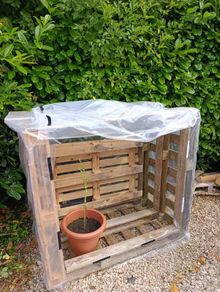 Greenhouse