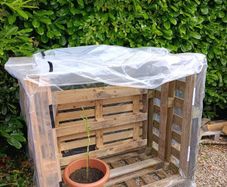 Greenhouse