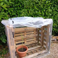 Greenhouse