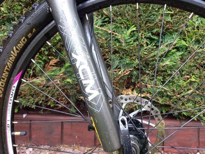 ladies mtb