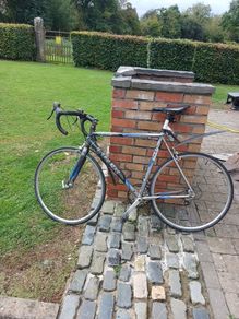 trek road bike