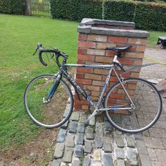 trek road bike