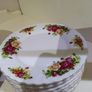 Dinner Plates Set Image 4