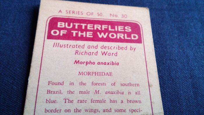 Butterflies of The World. Irish Series.