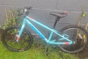 Cannondale Kids Quick 20 Bike