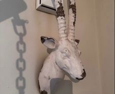 Plaster head