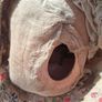 Art Nouveau 16 Inch German Bisque Doll Image 7