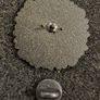 Sun,   pin back badge. Image 2