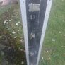 horslips hardcase Image 8