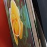 Roses/ A Care Manual/ Amanda Beales Image 3
