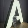 Add a touch of custom magic to your special day or home decor! Image 4