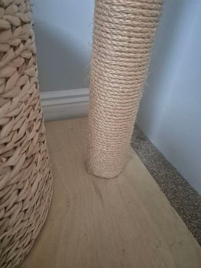 cats scratching pod