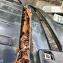 subaru forester turbo Image 4