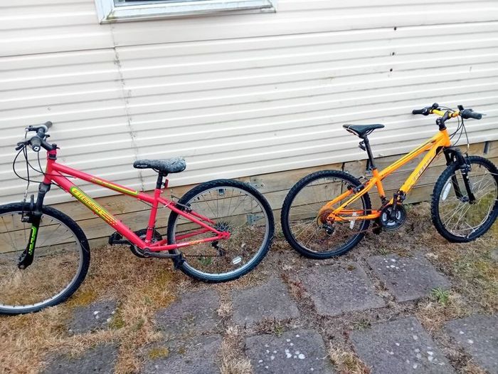 Bikes x 3