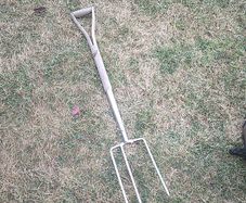 Garden Fork