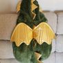 Halloween custume - Magic Dragon(9-12m) Image 4
