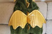 Halloween custume - Magic Dragon(9-12m)