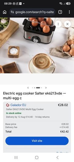 Salter Egg Cooker