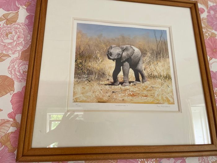 Elephant print PIP McGarry