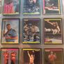 WWF Merlin Trading Cards full set of 96 Image 8