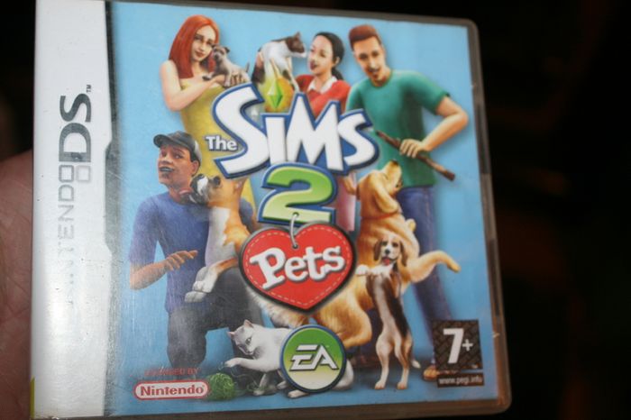 Nintendo DS Games