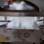 pizza oven Image 3
