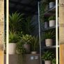 LED Bathroom Mirror 50x70cm Dual LED Tricolor Antifog Demister Image 3