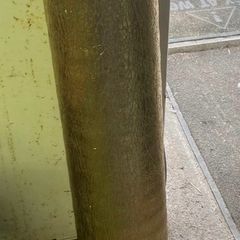 Timber Flooring Underlay