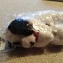 Soft toys from The White Company Image 4