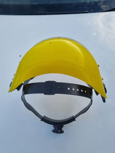 Strimming Helmet