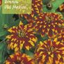 Over 100 different type of seeds at 1.00 euro per pack Image 8