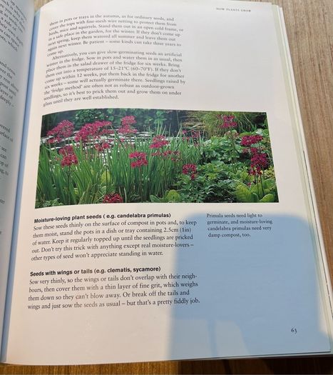 How to Be a Gardener - Book One Back to Basics