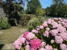 Gardening Image 6