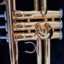 Yamaha YRT4335G Intermediate Trumpet Gld Brass Bel Image 5
