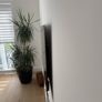 Samsung 55 Inch S90C OLED 4K Smart TV Image 2