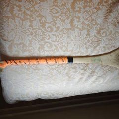 Star Hurley 34"