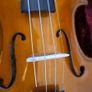 Stentor 1 Student Violin Image 10