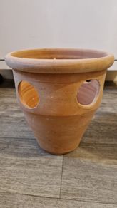 Strawberry pot