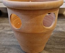 Strawberry pot