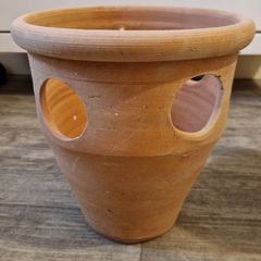 Strawberry pot
