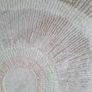 Rug/Carpet Image 2