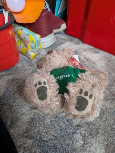 airline bears eur 10 each